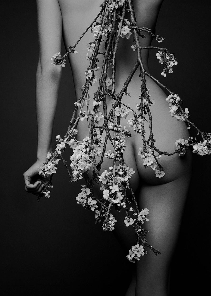 bare, blossom, backside, Paul Westlake, pan and the dream, magazine, artwork, painting, Daniella Midenge, women, fashion photography, black and white, portrait, collectors edition, limited edition, visual art, feminine, ethereal, sexy, vogue, Elle, photograph, Fine art, wall decor, home decor, luxury, decor, eyes, framed, editorial, interior design, home, art, music, pictures, print, best, art gallery, La Maison Rebelle, Los Angeles, flowers. 