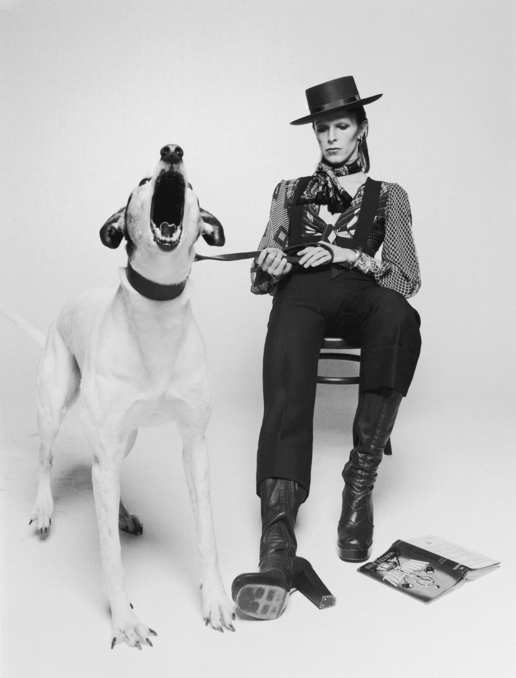 David Bowie for Diamond Dogs, By Terry O'Neill, photo, fine art, print, black and white, bowie, dog, limited edition, signed print, collectors, hat, art gallery, los angeles,  LA MAISON REBELLE
